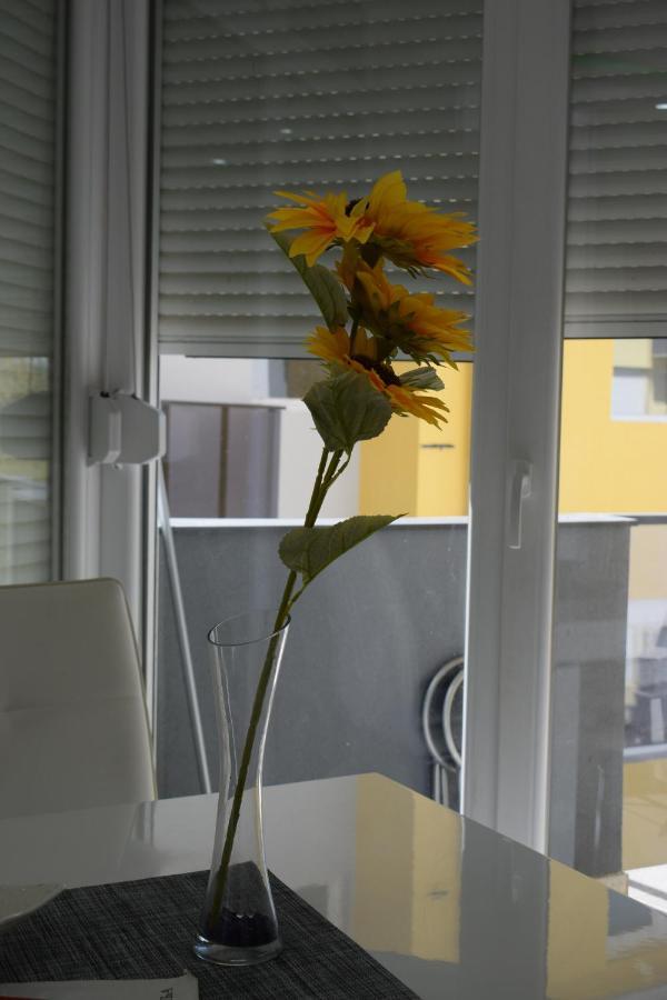 Apartmani K&V Veliko Gradište エクステリア 写真