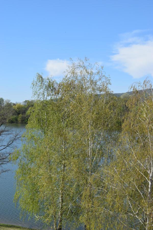 Apartmani K&V Veliko Gradište エクステリア 写真