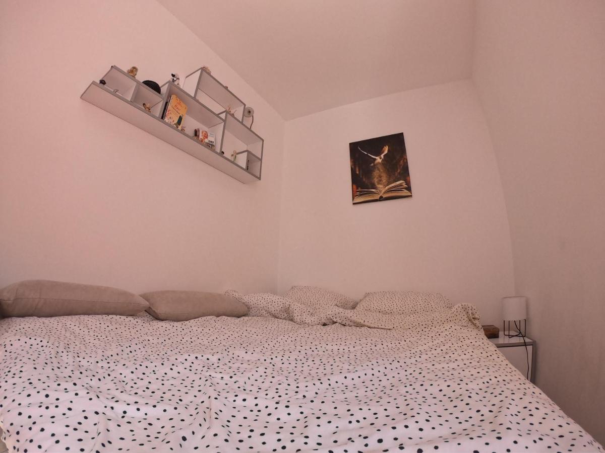 Apartmani K&V Veliko Gradište エクステリア 写真